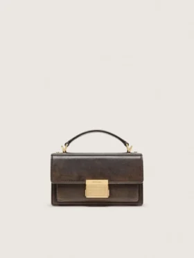 Bolso Venezia pequeño en cuero marrón oscuro con hebilla dorada