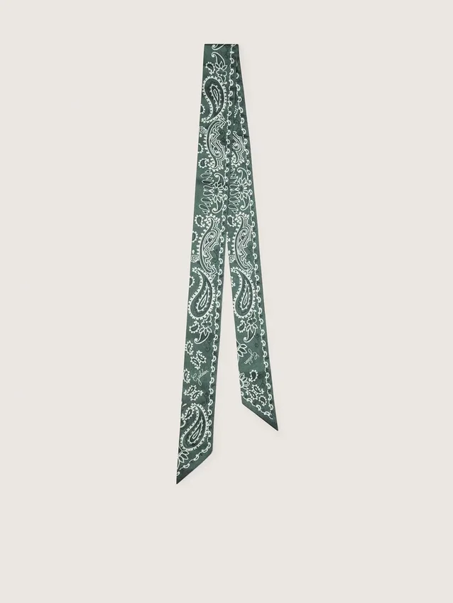 Juego de dos cintas de sarga con diseño de paisley verde