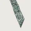 Juego de dos cintas de sarga con diseño de paisley verde