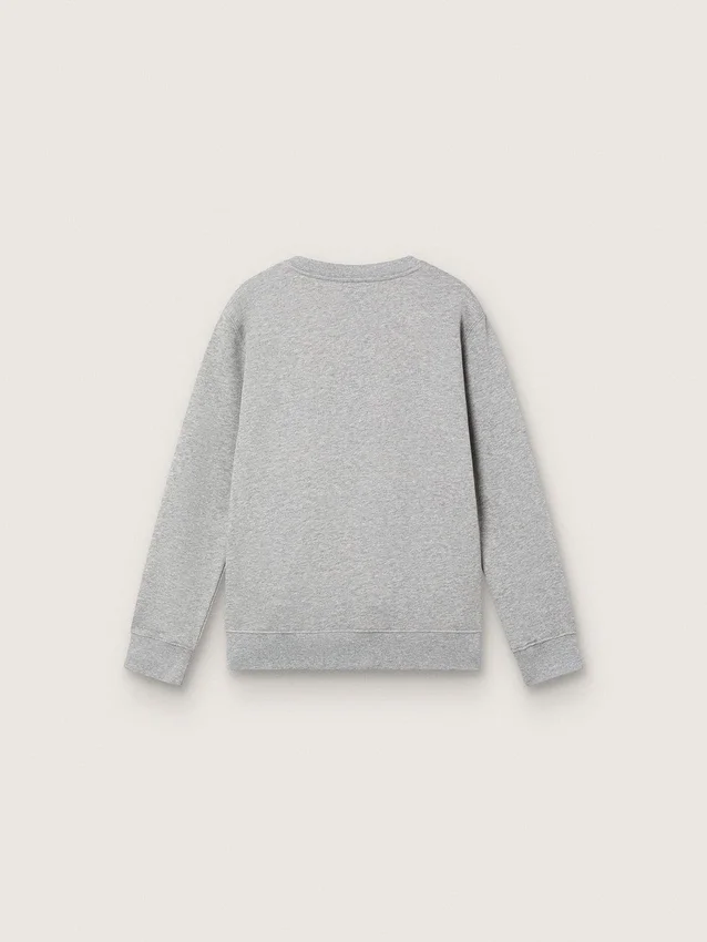 Sudadera de cuello redondo Journey para niños en algodón gris jaspeado con estampado de mascota
