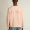 Sudadera rosa polvo con logotipo invertido en la espalda - Jersey Capsule
